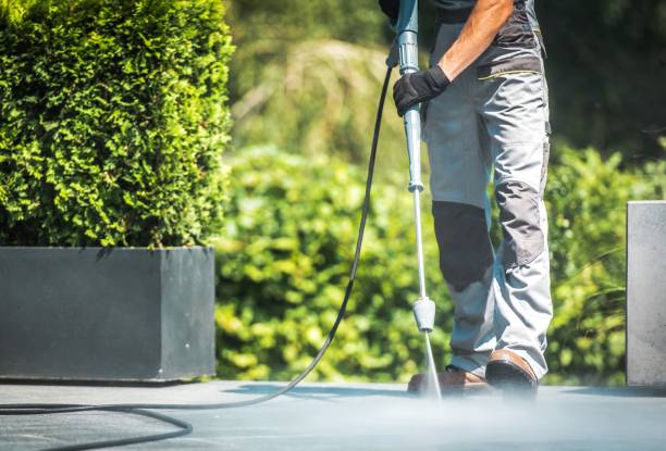 Best Rust Removal  in Suncoast Estates, FL