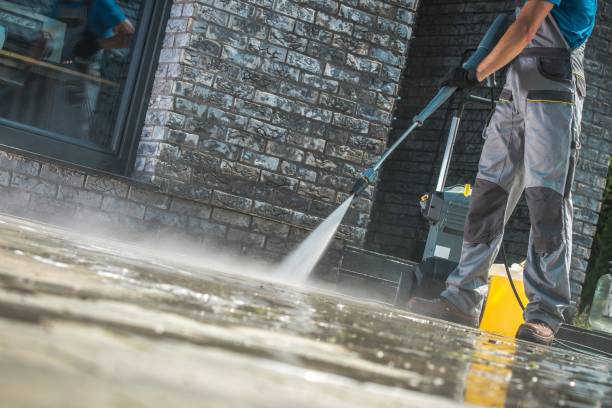 Best Boat and Dock Cleaning  in Suncoast Estates, FL